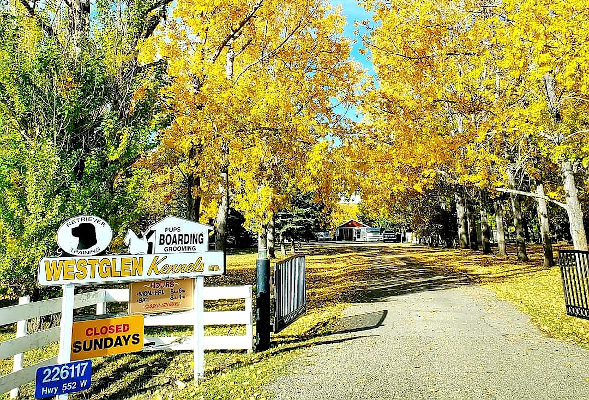 Westglen Kennels